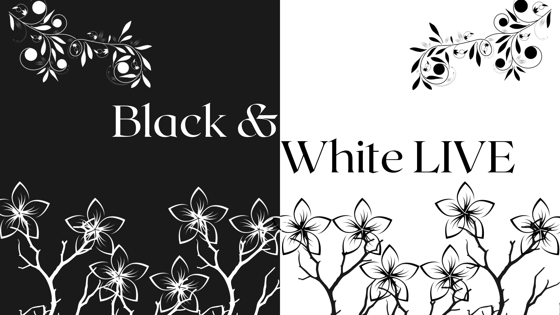 Black and White