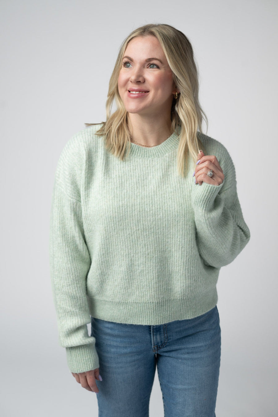 WAREHOUSE Josie Cozy Crew Sweater - Light Green