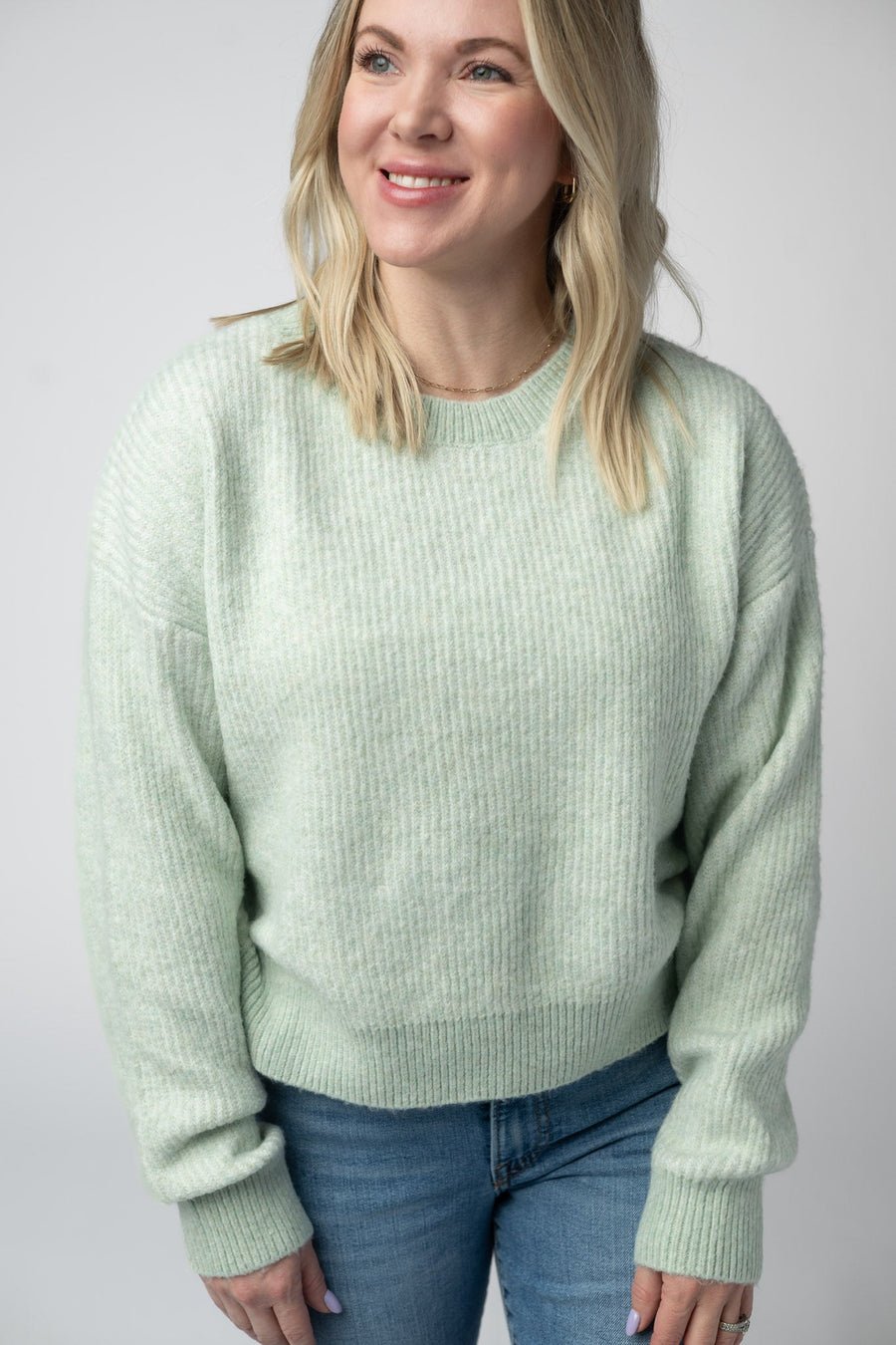 WAREHOUSE Josie Cozy Crew Sweater - Light Green