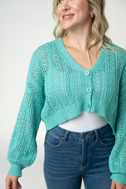 WAREHOUSE ONLY Callie Cropped Cardigan - Aqua FINAL SALE