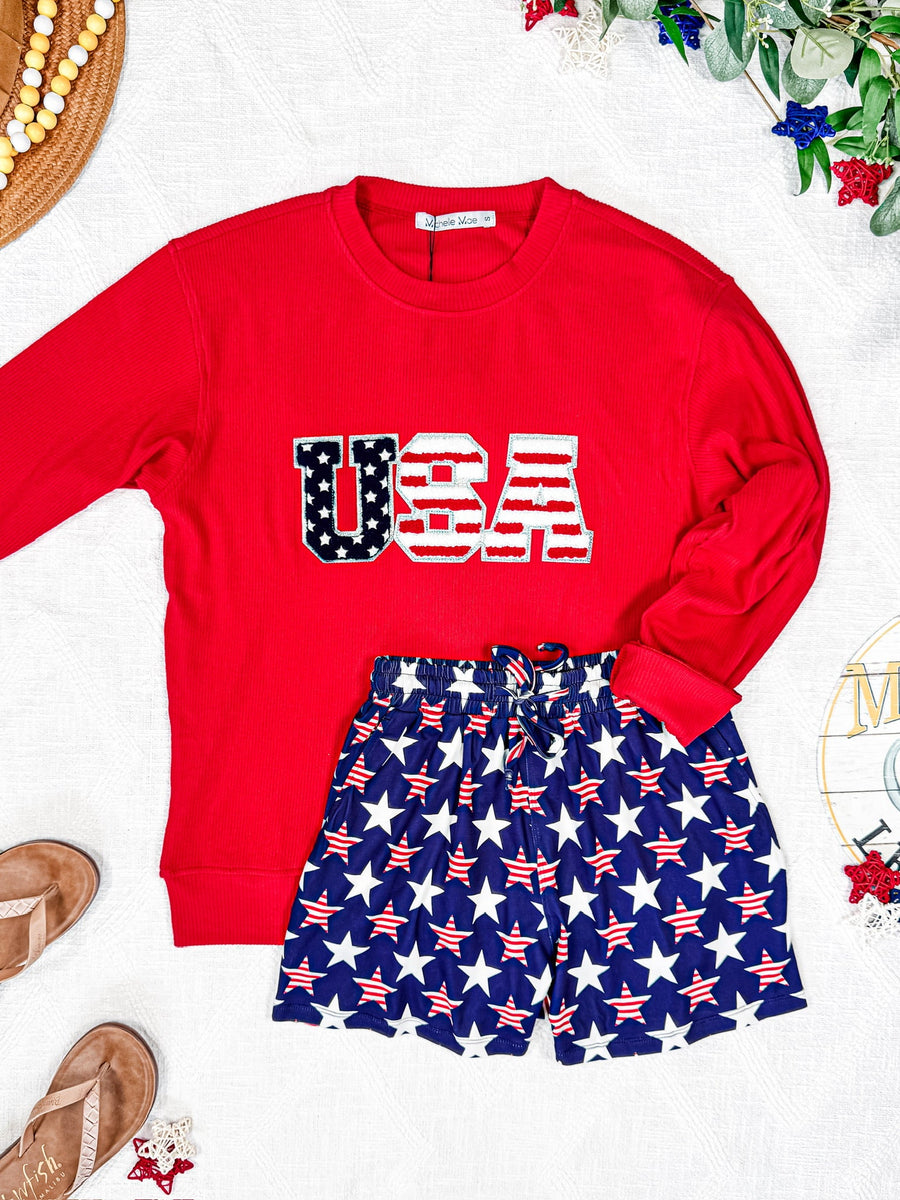 WAREHOUSE Corrine Pullover Top - Red USA Flag