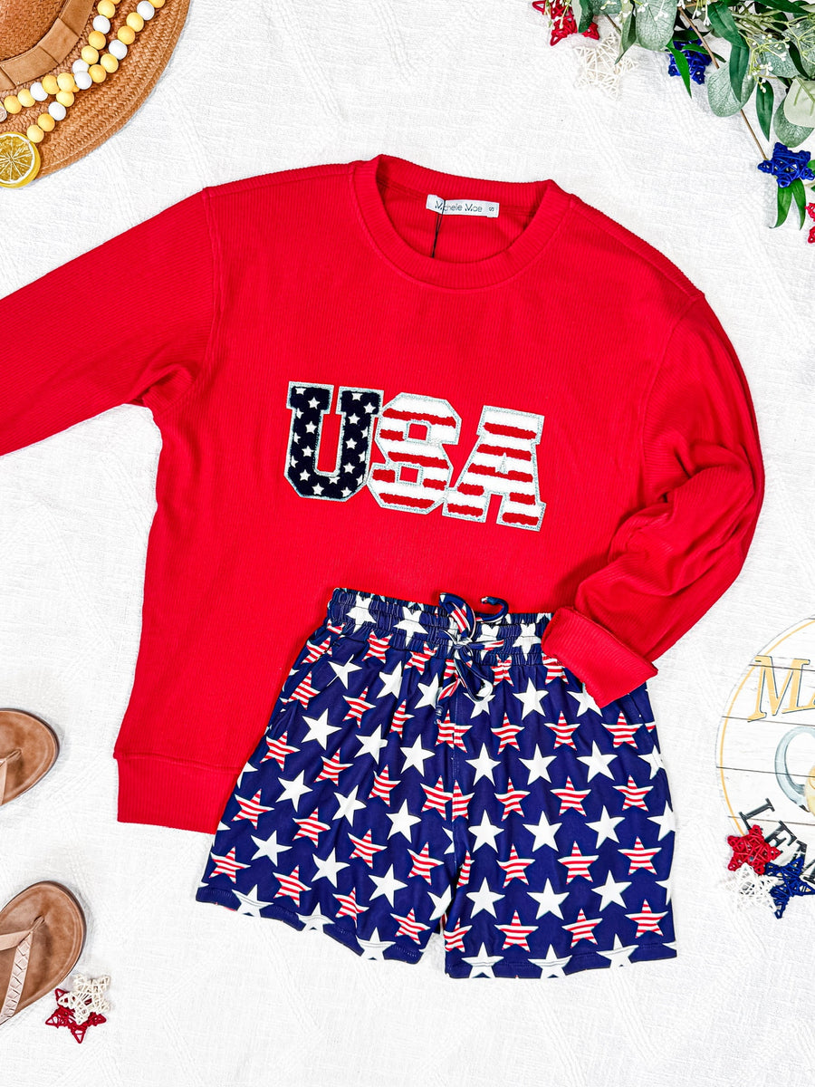 WAREHOUSE Corrine Pullover Top - Red USA Flag