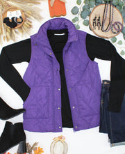 WAREHOUSE ONLY Remy Zip Up Vest - Purple