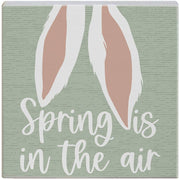 Spring In Air Ears - Small Talk Square